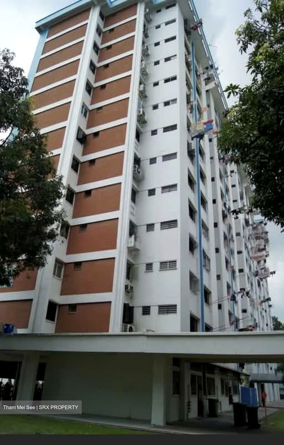 Blk 148 Silat Avenue (Bukit Merah), HDB 3 Rooms #542620241